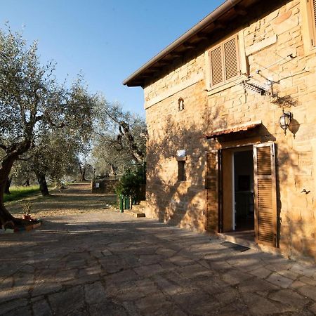 Casetta Maduneta Immersa In Un Oliveto Dolceacqua Ngoại thất bức ảnh