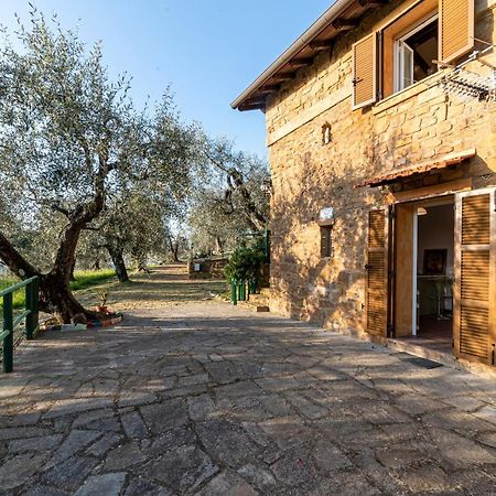 Casetta Maduneta Immersa In Un Oliveto Dolceacqua Ngoại thất bức ảnh