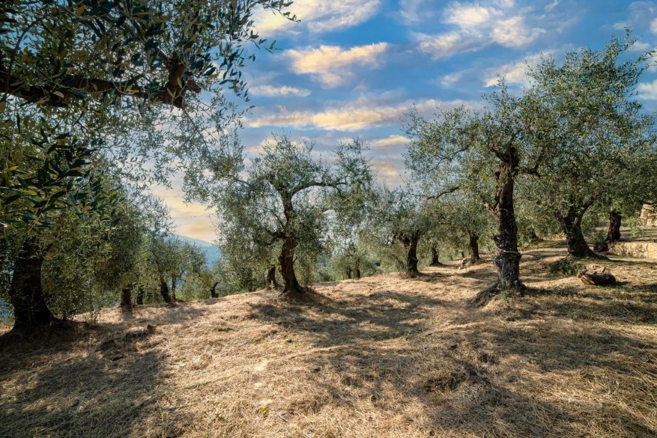 Casetta Maduneta Immersa In Un Oliveto Dolceacqua Ngoại thất bức ảnh