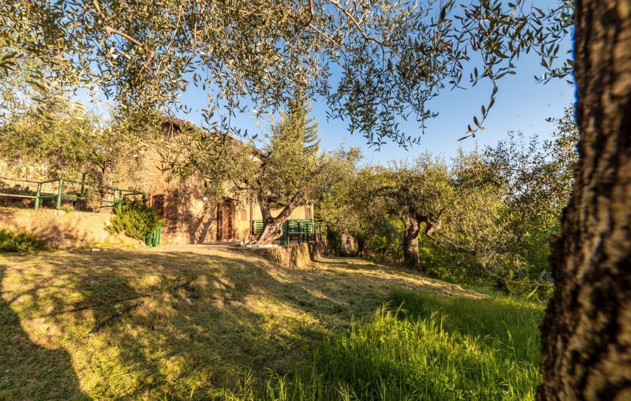 Casetta Maduneta Immersa In Un Oliveto Dolceacqua Ngoại thất bức ảnh