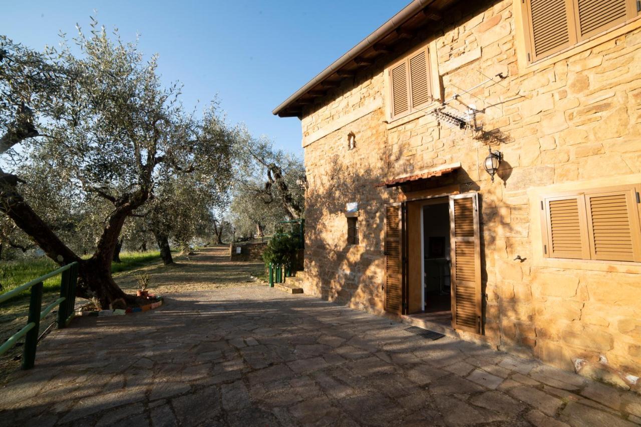 Casetta Maduneta Immersa In Un Oliveto Dolceacqua Ngoại thất bức ảnh